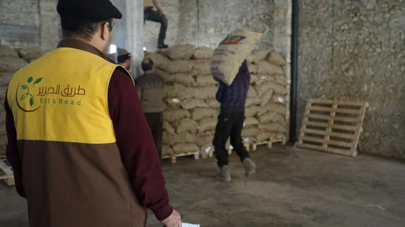 البدء باستلام بذار البطاطا تمهيدا لبدء توزيعها على المزارعين المستفيدين