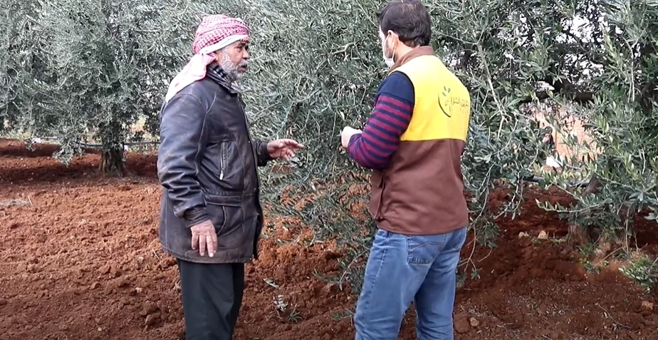 أحد المزارعين المستفيدين من مشروع طريق الحرير في دعم مزارعي الزيتون في منطقة حارم