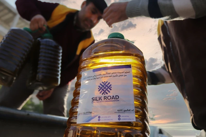 جمع إنتاج زيت الزيتون تمهيدا لتوزيعه على النازحين لاحقا