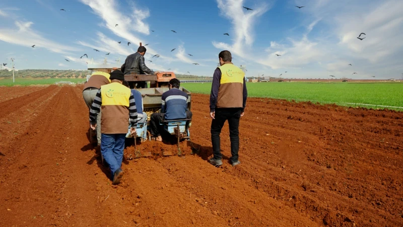 متابعة المزارعين المستفيدين أثناء زراعة بذار البطاطا