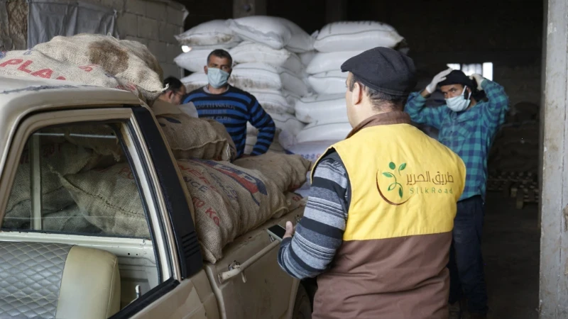 البدء بتوزيع بذار البطاطا على المستفيدين من العروة الثانية