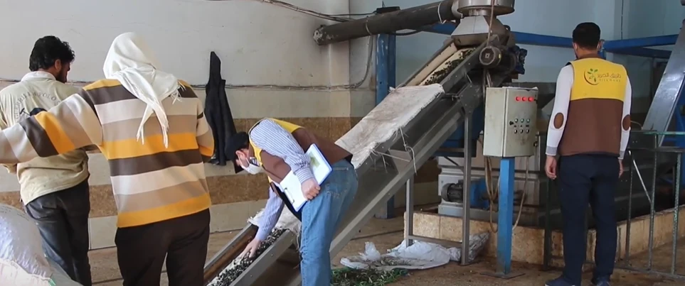 مشروع دعم مزارعي الزيتون الذي تنفذه منظمة طريق الحرير في ريف إدلب