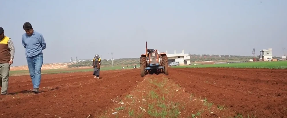 مشروع منظمة طريق الحرير في دعم مزارعي البطاطا وتحسين الأمن الغذائي في ريفي إدلب وحلب.