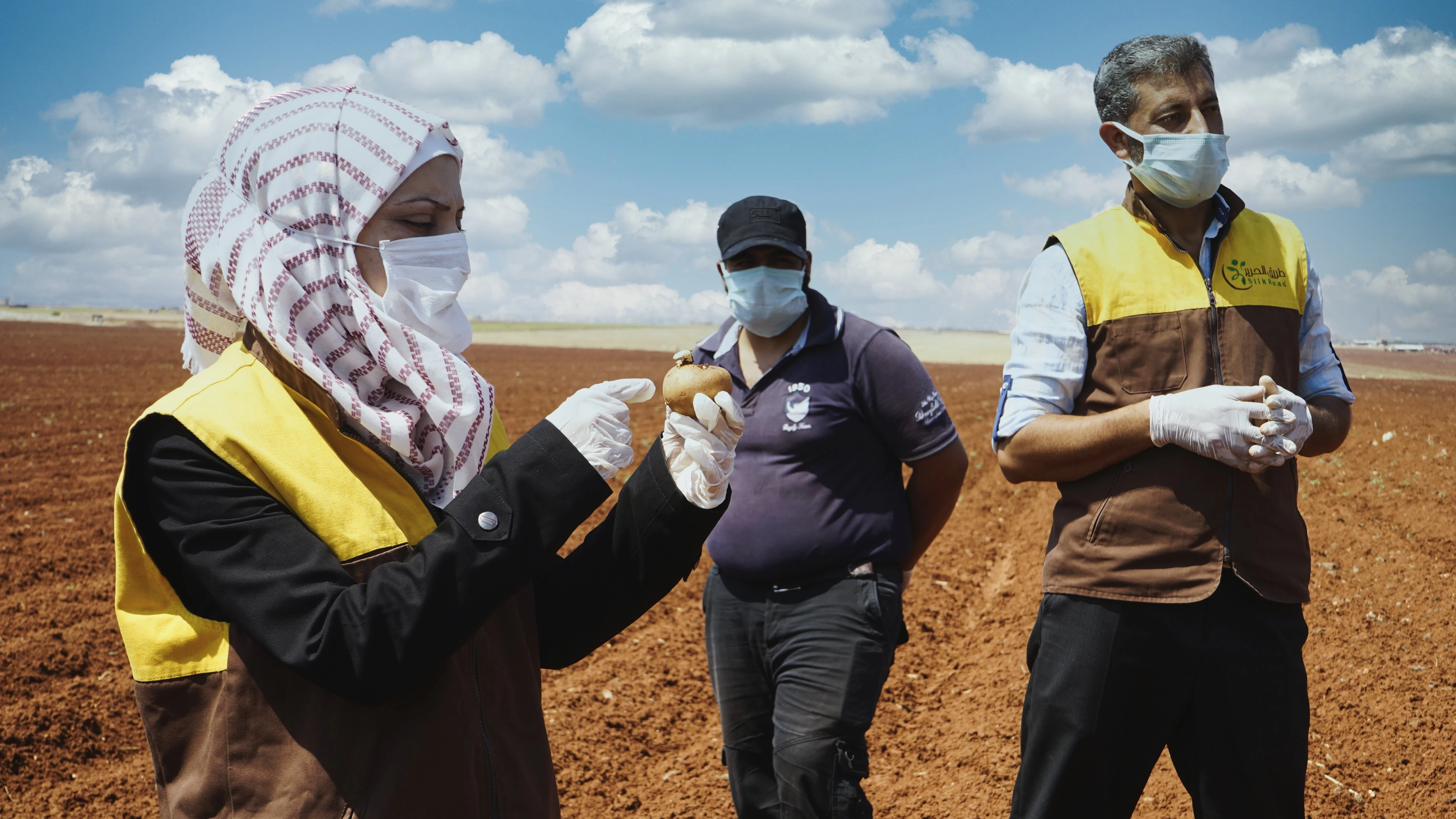 بدء الأيام الحقلية لمزارعي البطاطا