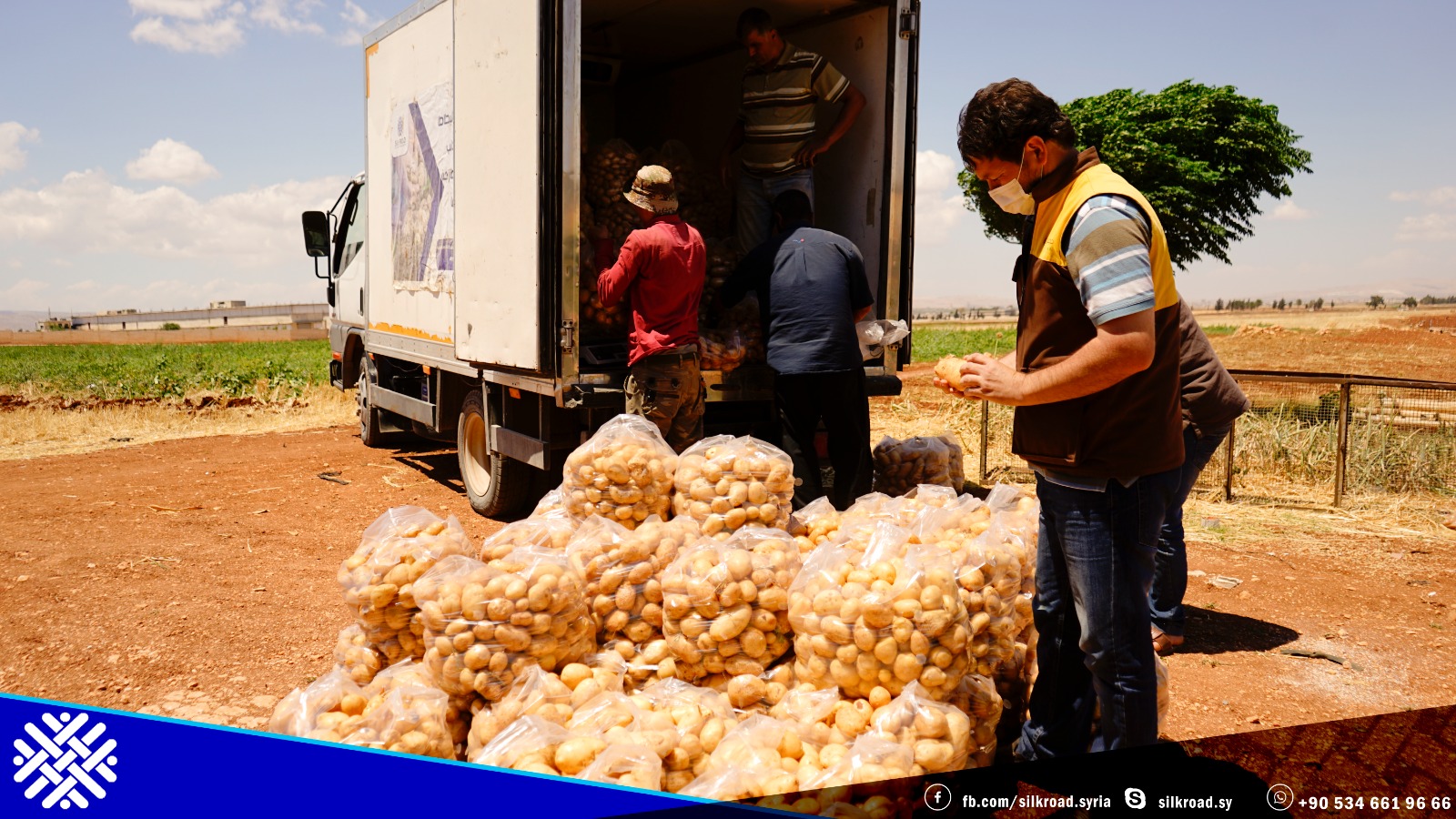 استكمال جمع محصول البطاطا من من أراضي المزارعين وتوزيعها على العائلات المستفيدة وذلك ضمن مشروع #منظمة_طريق_الحرير في #دعم_مزارعي_البطاطا_و_توفير_الخضروات_الطازجة في ريفي إدلب و حلب
