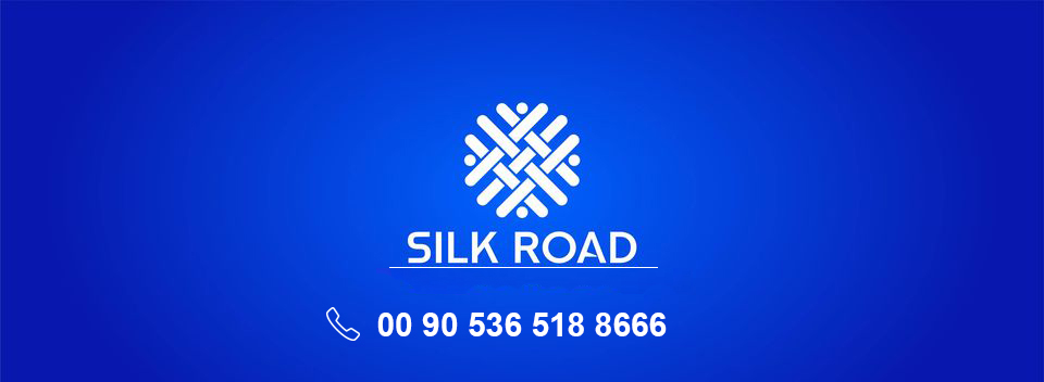   Silk Road organization
